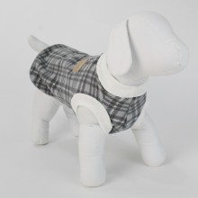 roupa para cachorro